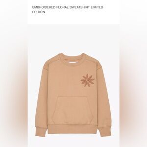 Zara - Embroidered Sweatshirt in peachy/ Clay